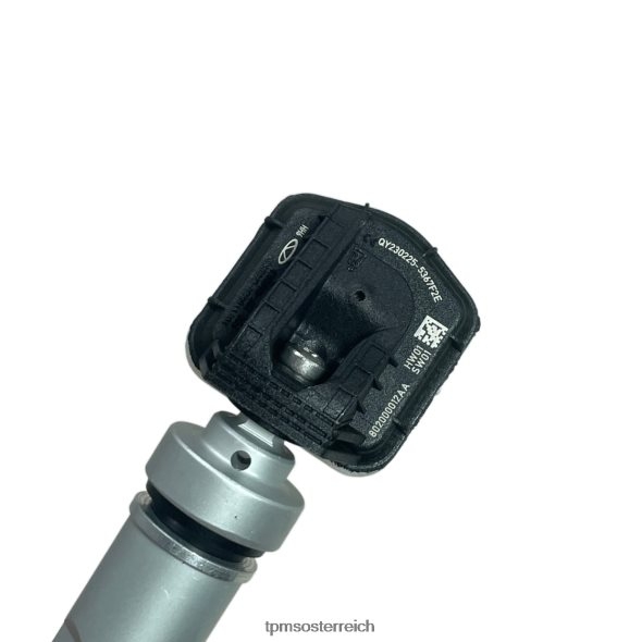 TPMS Chery Reifendrucksensor 802000012aa RTB40B1241 TPMS österreich