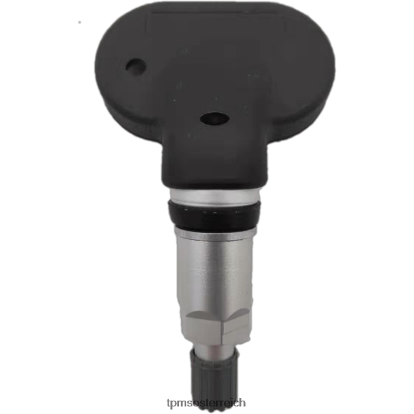 TPMS Jiangzing Reifendrucksensor jml391212060a0q0 RTB40B1300 reifendrucksensor funktion
